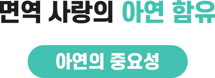 먼역 팝업 아연 제목