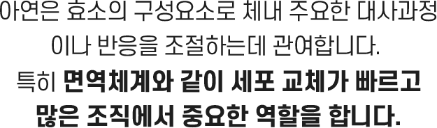 먼역 팝업 아연 이미지