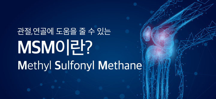 관절 팝업 MSM
