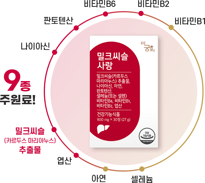 밀크씨슬 팝업 차트 이미지