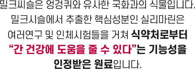 밀크씨슬 팝업 설명