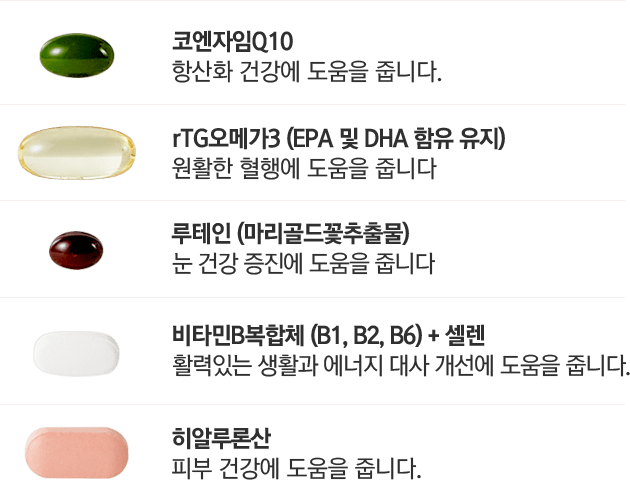 영영제 팝업 설명