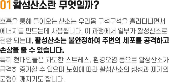 비타민 팝업 건강 1