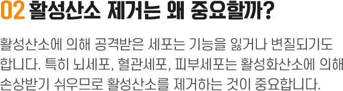 비타민 팝업 건강 2